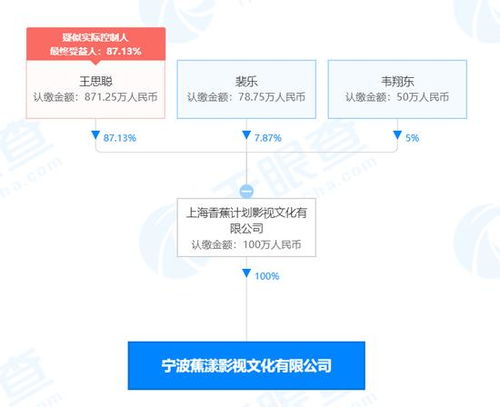 王思聰影視新公司成立，注冊資本100萬引關注，網友呼吁簽下孫一寧
